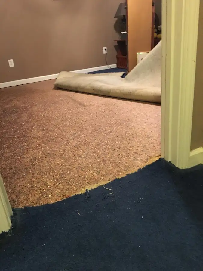 Carpet pad removal revealing water damage during Drying & Dehumidification in Lynn Haven