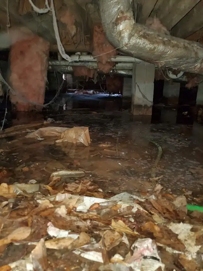 Crawl space flood assessment for Leak Detection & Repair in Lynn Haven