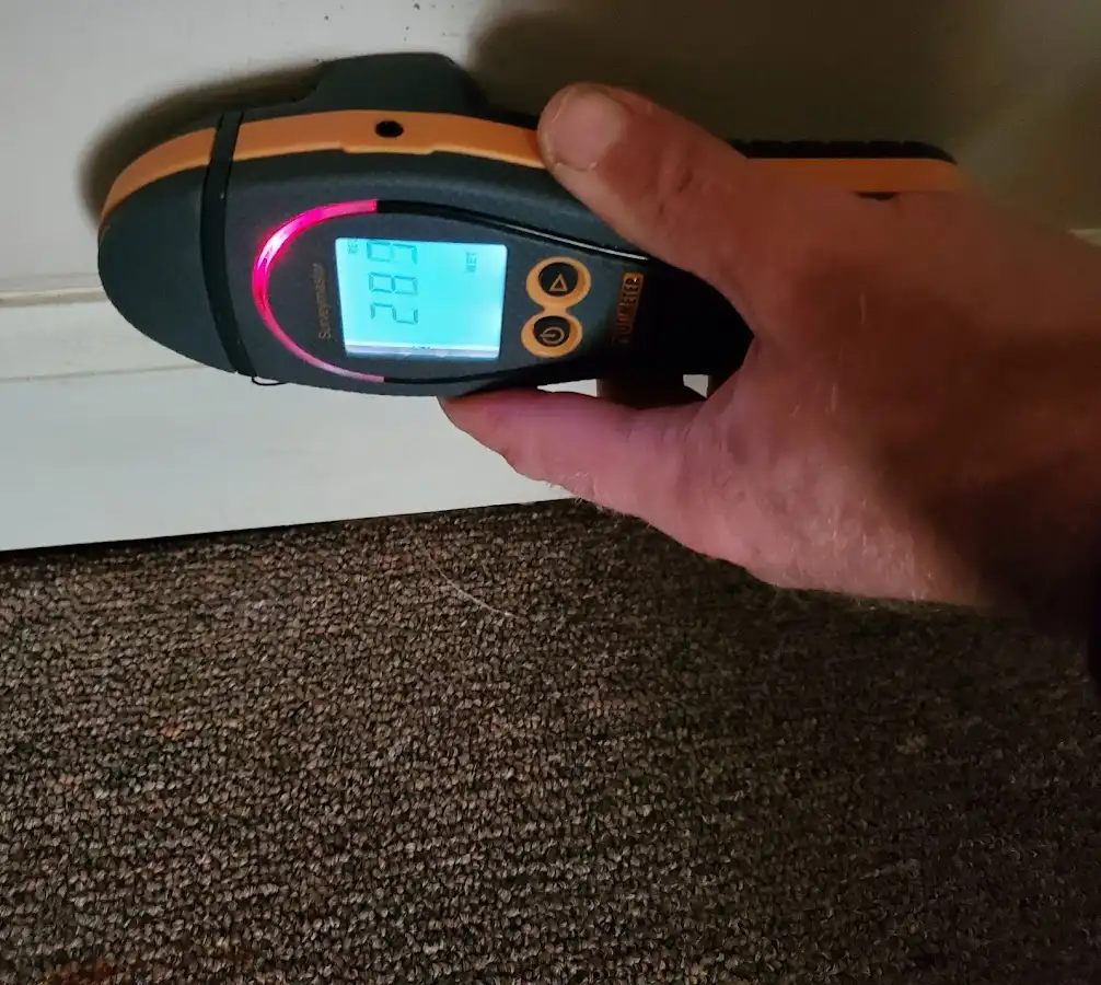 Moisture detection at baseboard during Sewage Cleanup & Sanitation in Lynn Haven